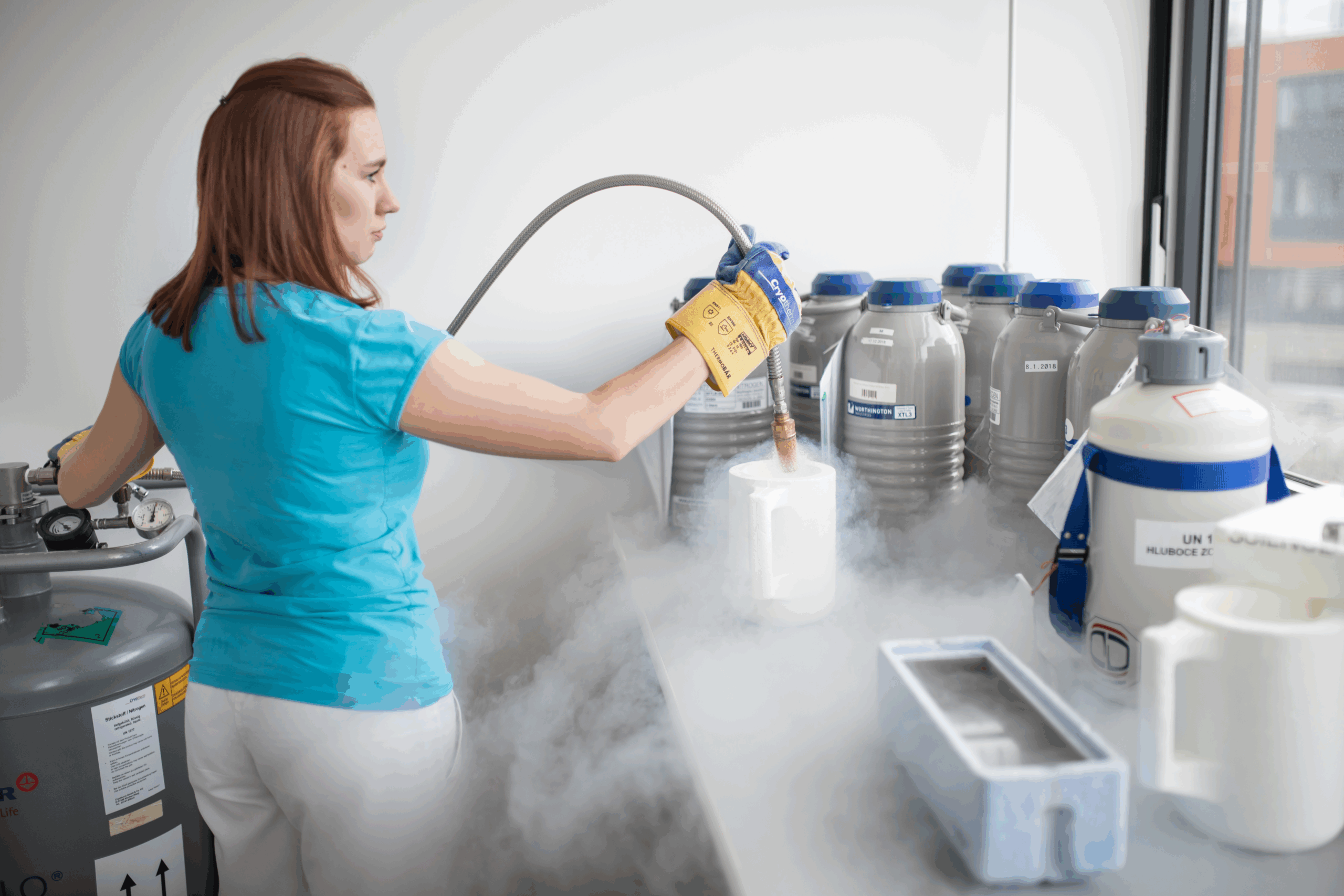 Repromeda: Vitrifikace pohlavních buněk – moderní metoda uchování vajíček, spermií a embryí