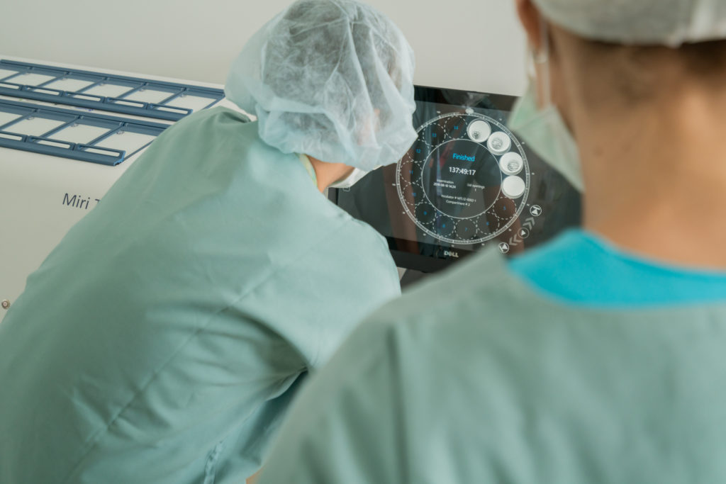 Embryologická laboratoř - vyhodnocování zrání a kvality embryí