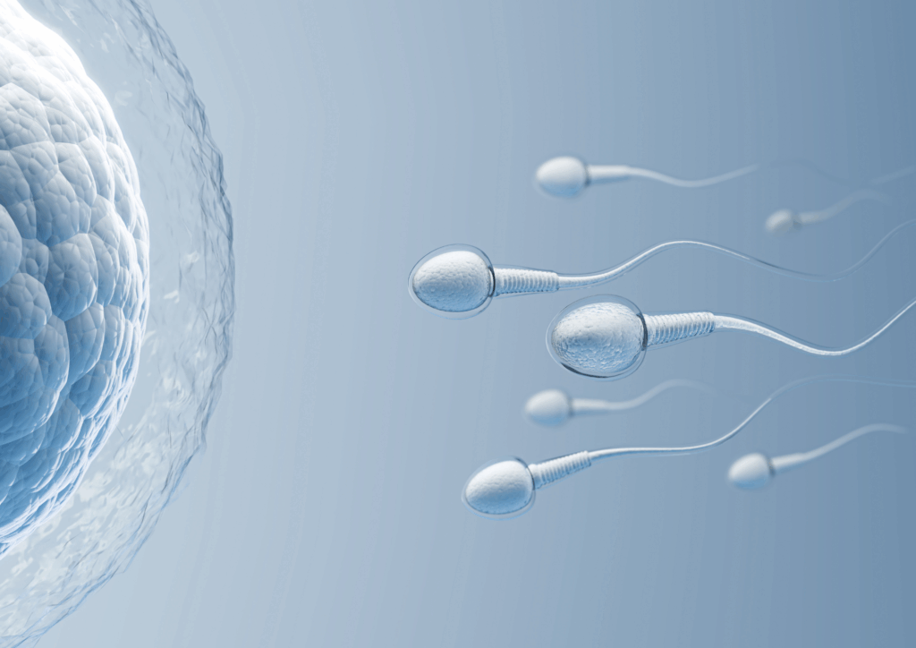 Vyšetření kvality spermií – spermiogram